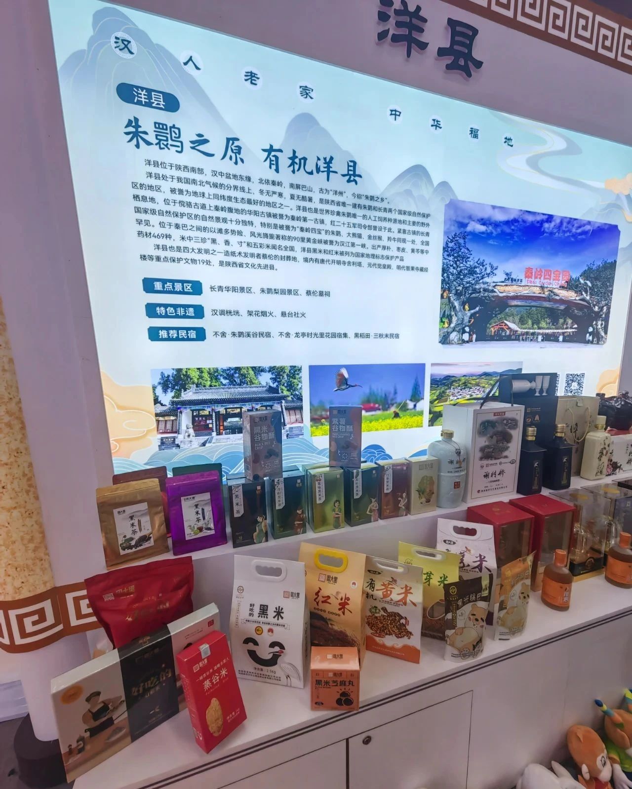 微信圖片_20240814165859.jpg