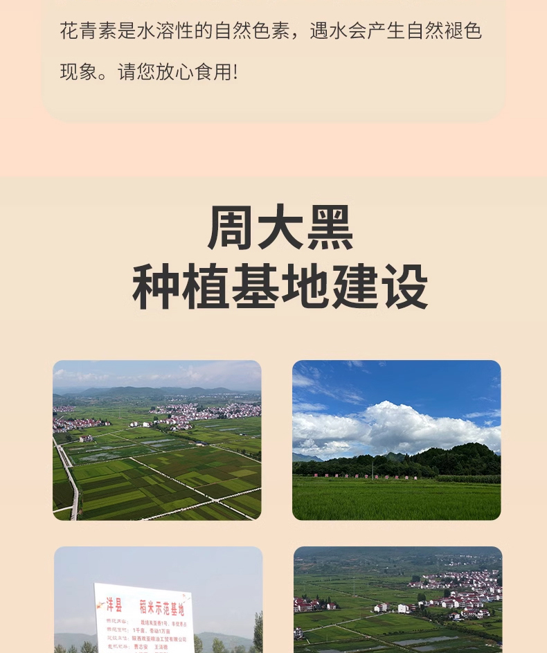 黑秈糯米詳情_14.jpg