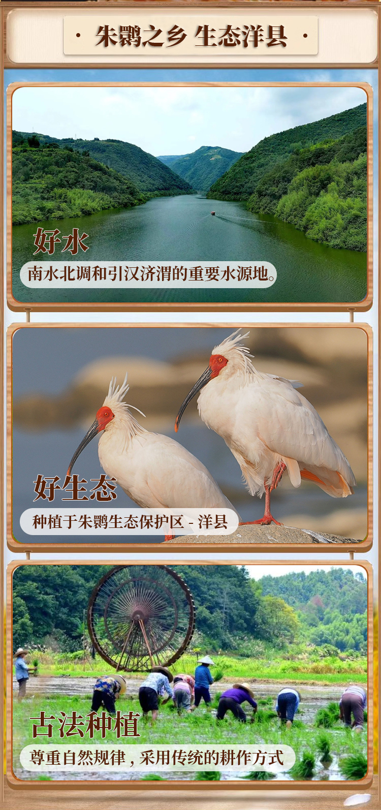 紅米詳情2kg_04.jpg